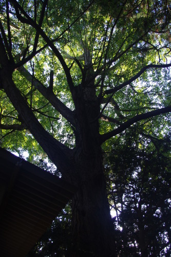 c0337494_16160395.jpg