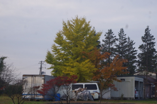 c0337494_16170393.jpg