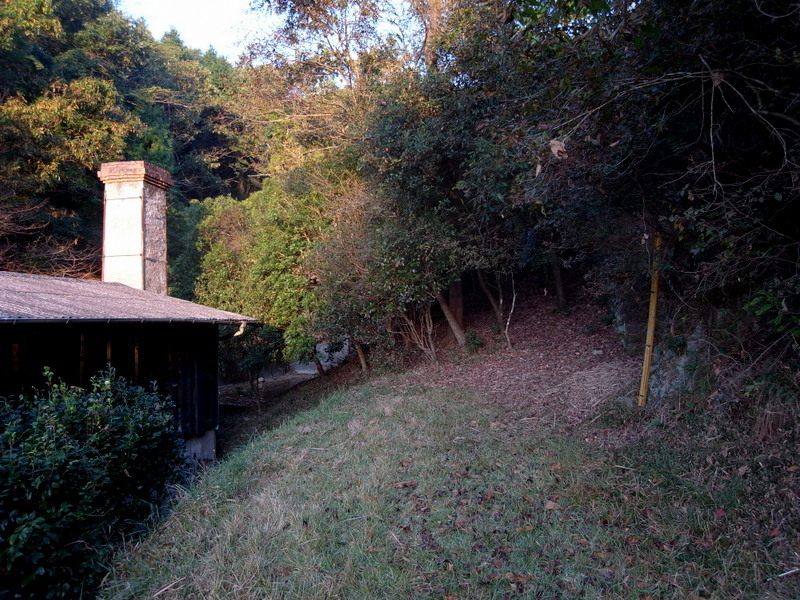 f0325295_12462437.jpg