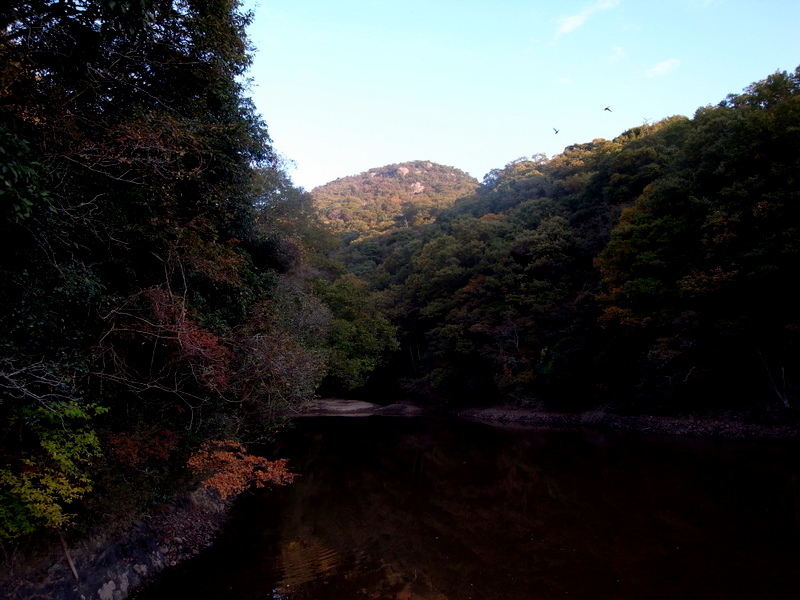 f0325295_12462740.jpg