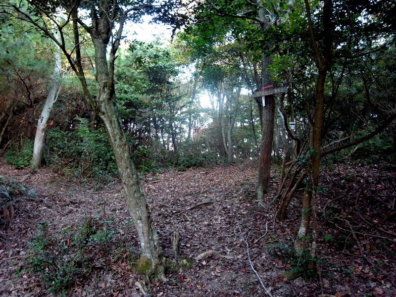 f0325295_12463003.jpg