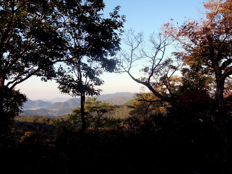 f0325295_12464310.jpg