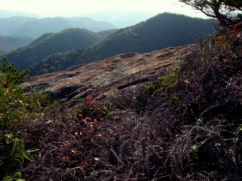 f0325295_12465732.jpg