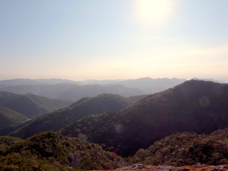 f0325295_12470279.jpg