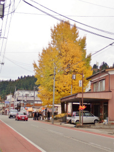 c0336902_20445423.jpg
