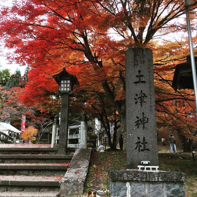 まだまだ紅葉出張 2_f0034602_20530766.jpeg