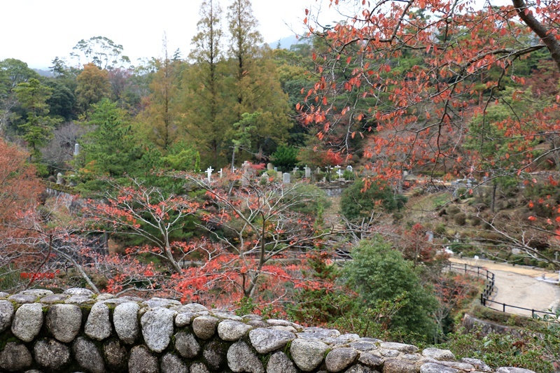 a0123003_23370918.jpg