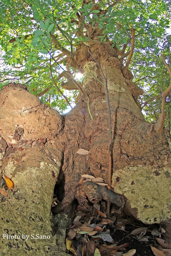 b0348205_23574352.jpg