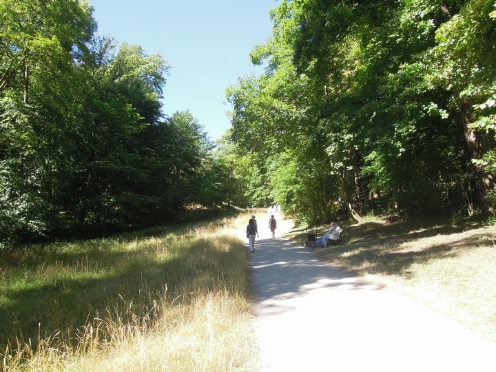 c0149408_10380977.jpg