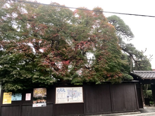 d0179410_17292025.jpeg