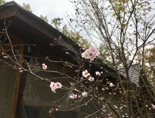 d0179410_18235447.jpeg