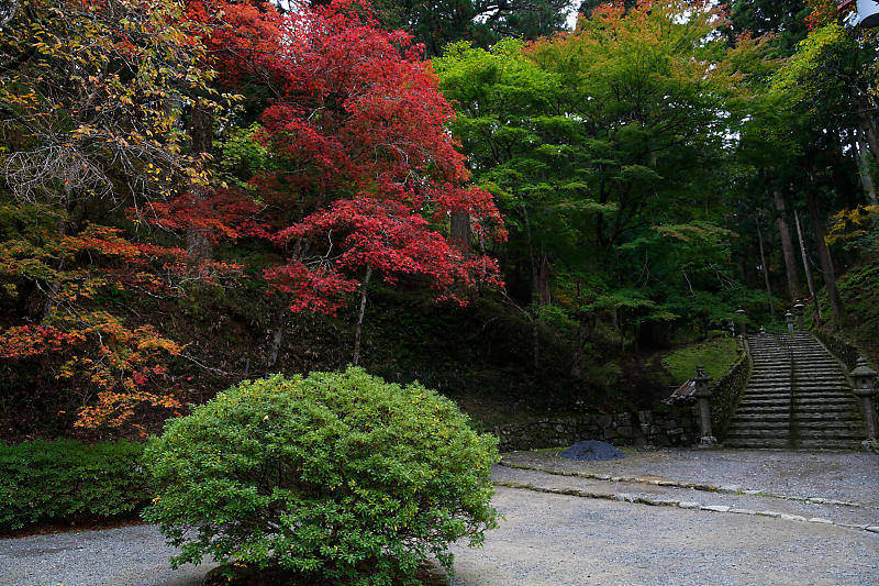 f0032011_22083838.jpg