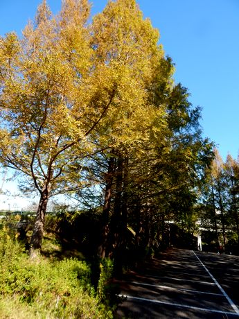 b0352112_17494517.jpg