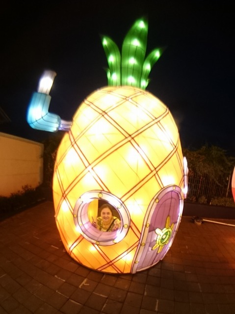クリスナ遊園地の巻_c0211615_12394995.jpg