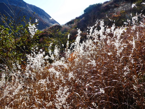 日本百名山那須岳　　朝日岳(1,897.5M) 下山編_d0170615_21251702.jpg