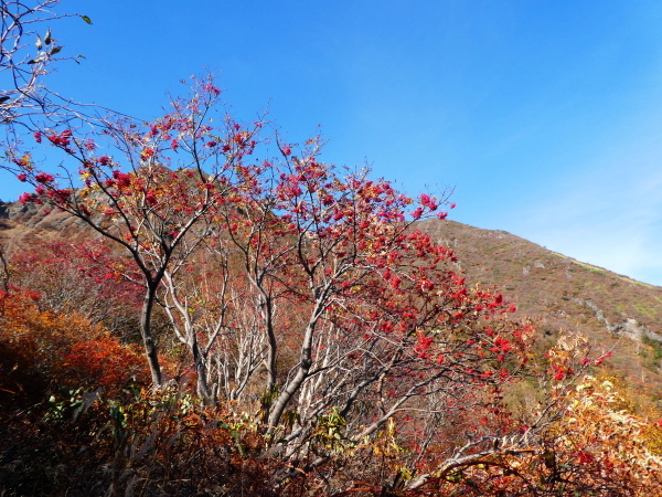 日本百名山那須岳　　朝日岳(1,897.5M) 下山編_d0170615_21260736.jpg