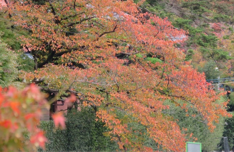 b0344816_17001422.jpeg