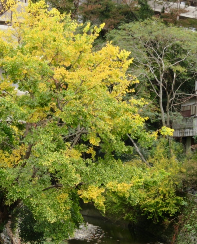 b0344816_17002610.jpeg