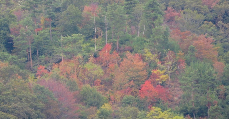 b0344816_19314466.jpeg