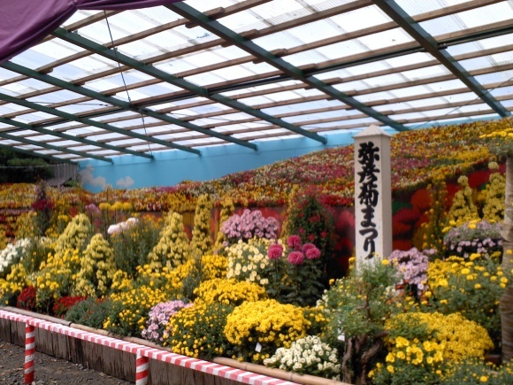 e0249016_06181792.jpg