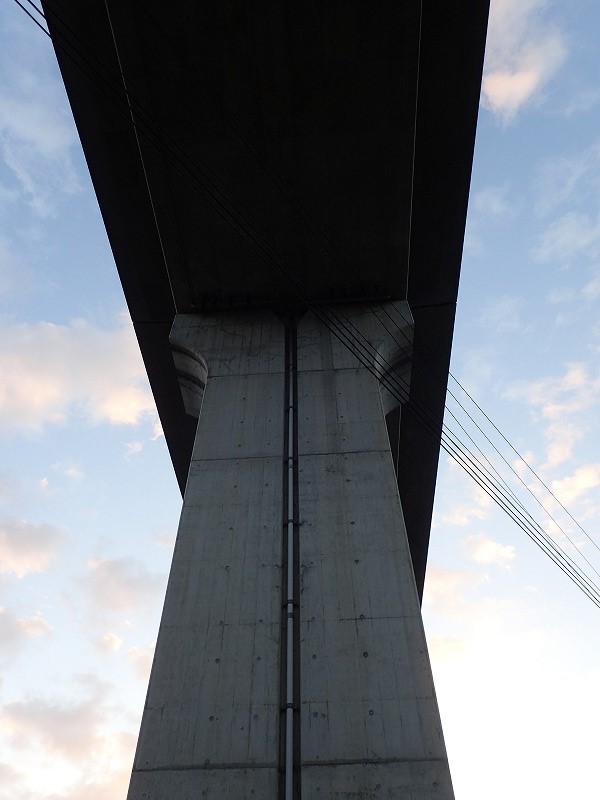e0284726_0365821.jpg