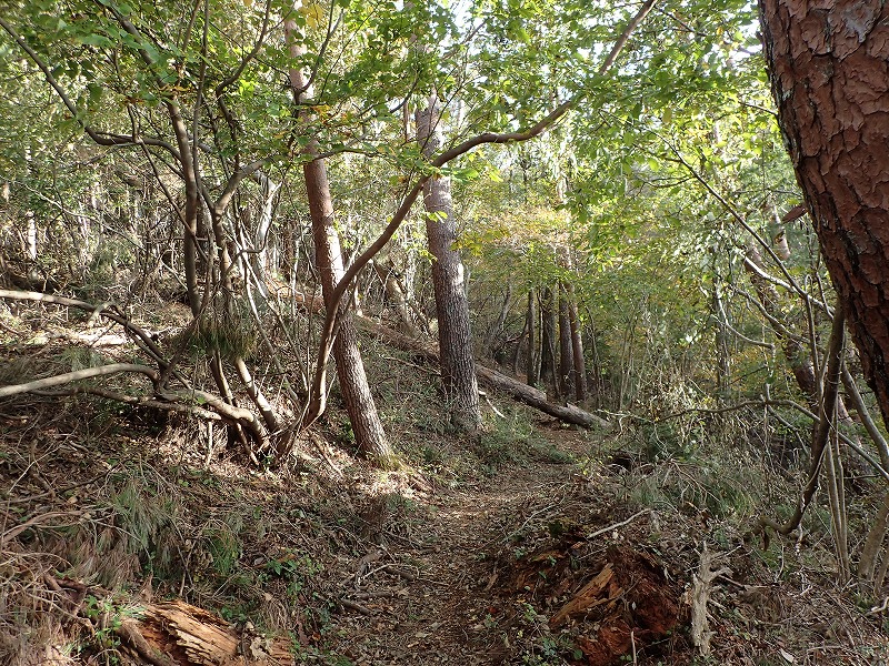 その２（九鬼山・高川山）_e0284726_0434646.jpg