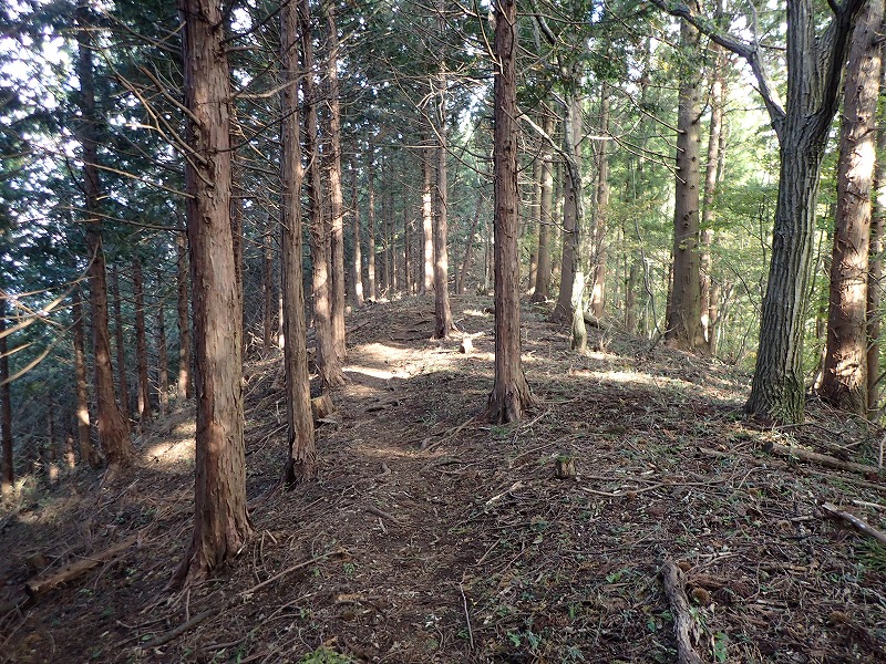 e0284726_0442067.jpg
