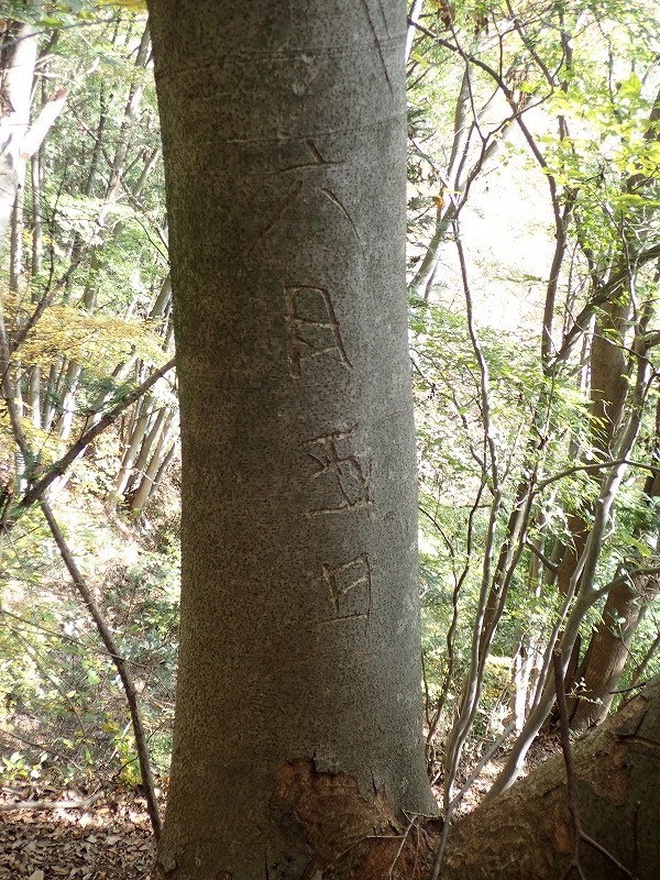 その３（九鬼山・高川山）_e0284726_0535116.jpg