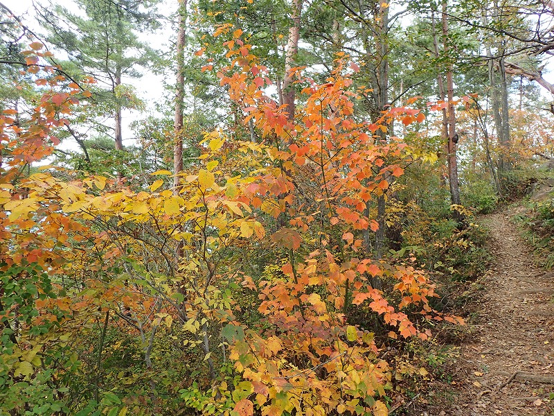 e0284726_101834.jpg