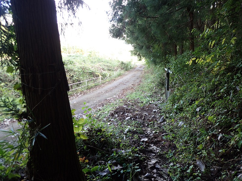 e0284726_102983.jpg