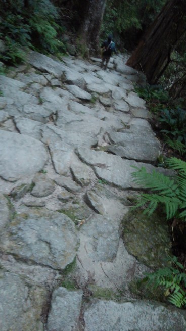 c0236632_22304704.jpg