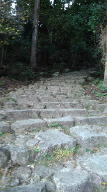 c0236632_22323323.jpg
