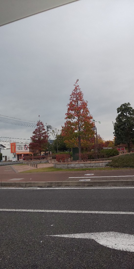 e0376933_15312980.jpg