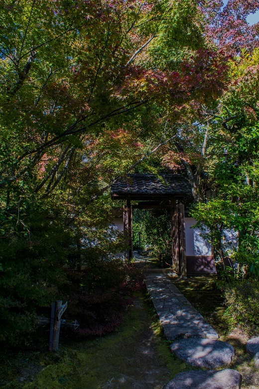 e0363038_11350178.jpg