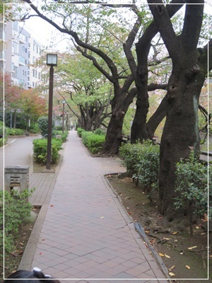 b0254145_20374881.jpg