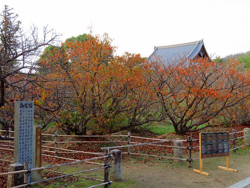 京都御室仁和寺「五大明王図」特別公開20181108_e0237645_22544221.jpg