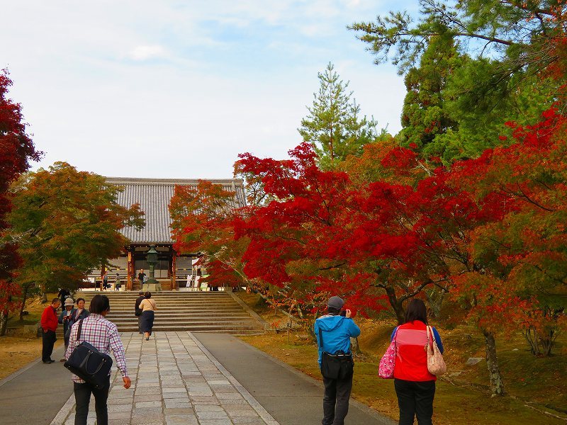 京都御室仁和寺「五大明王図」特別公開20181108_e0237645_22544295.jpg