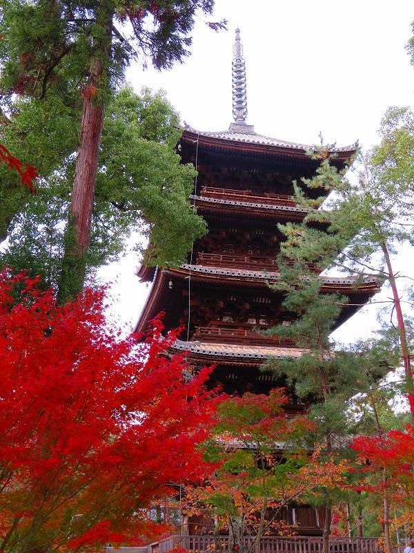京都御室仁和寺「五大明王図」特別公開20181108_e0237645_22560946.jpg