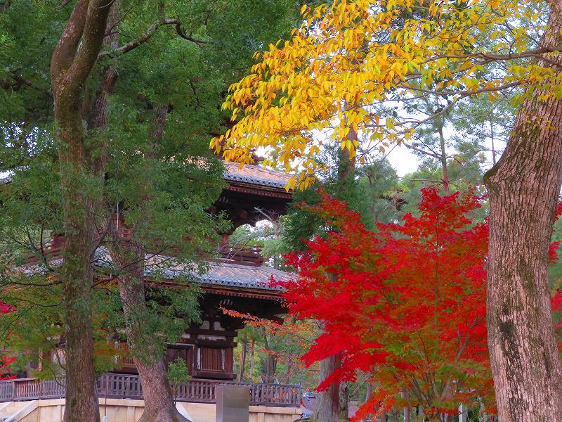 京都御室仁和寺「五大明王図」特別公開20181108_e0237645_22560964.jpg