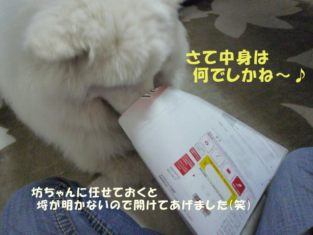 e0176159_17011913.jpg