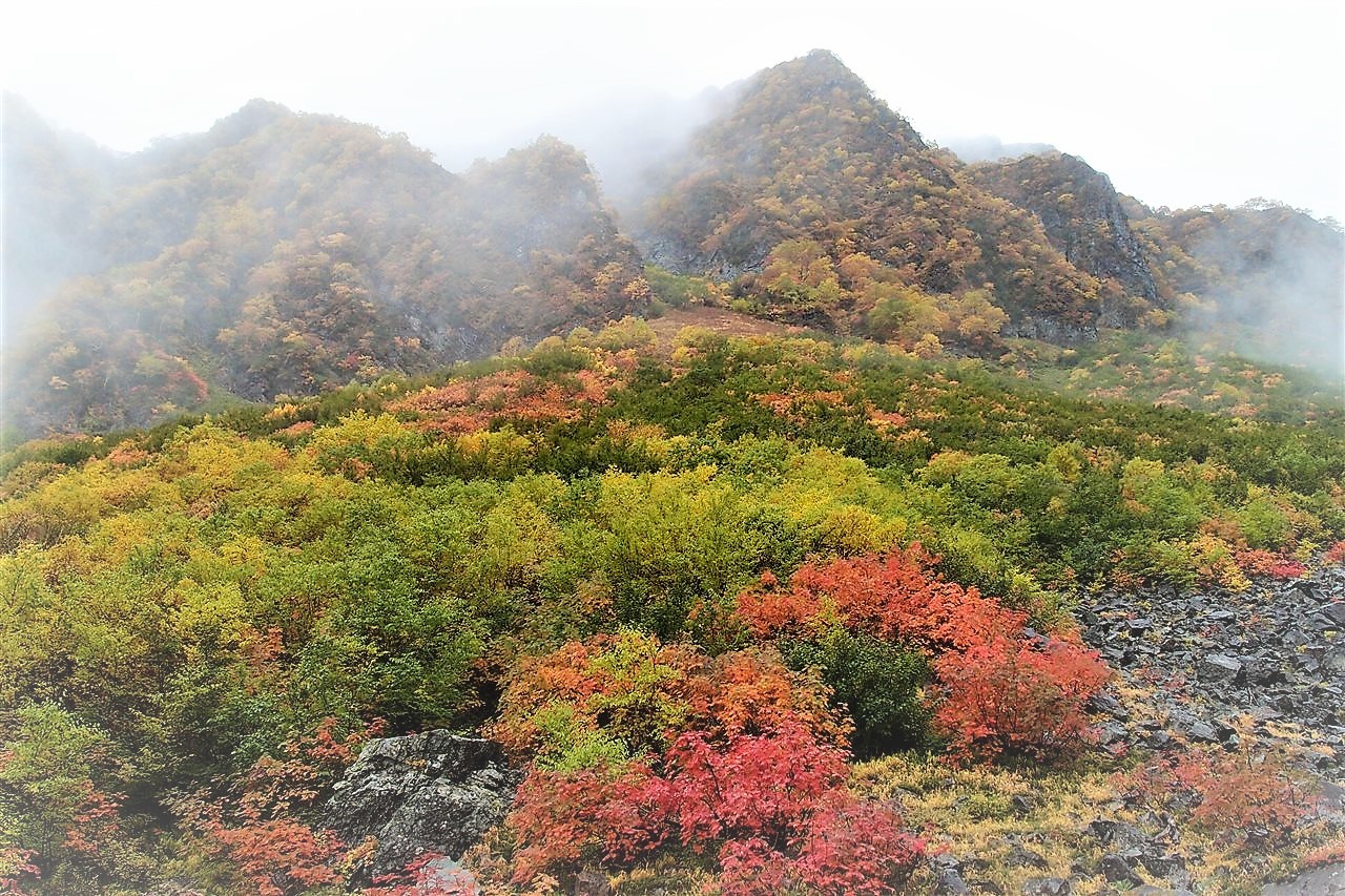 錦秋の涸沢、迫力の岩稜・奥穂高！　目にする全てに感動！前半 2017.10.3　_e0368467_19095560.jpg