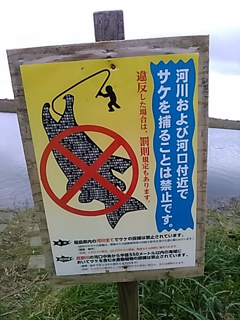 鮭を釣り ワカサギを釣る旅行 桧原湖 森と川の声 もうひとつの故郷 森川荘