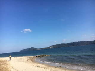 踊り子草 伊根の旅_f0363168_06211971.png