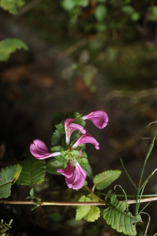 e0304170_22281708.jpg