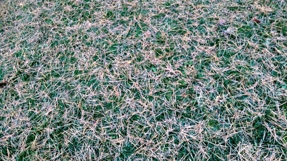e0385174_13525149.jpg
