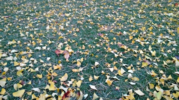 e0385174_13531642.jpg