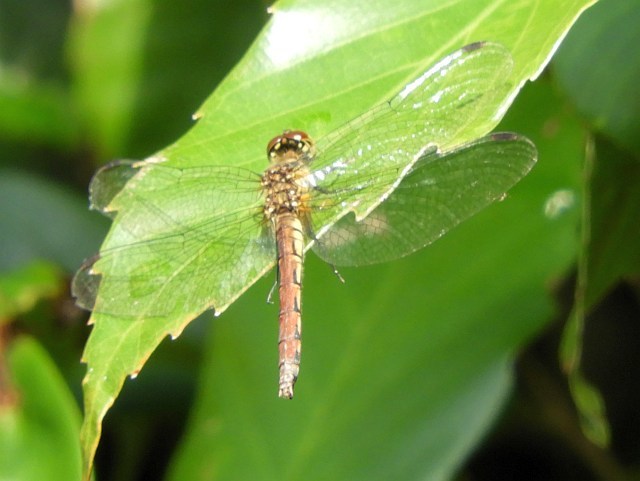 f0378979_21365455.jpg