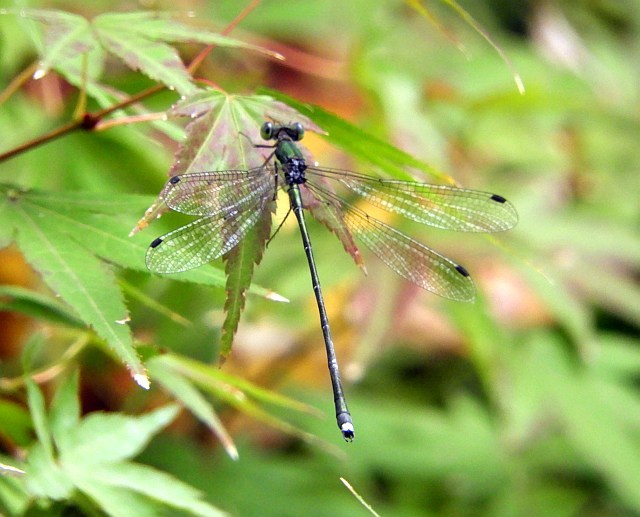f0378979_21410990.jpg