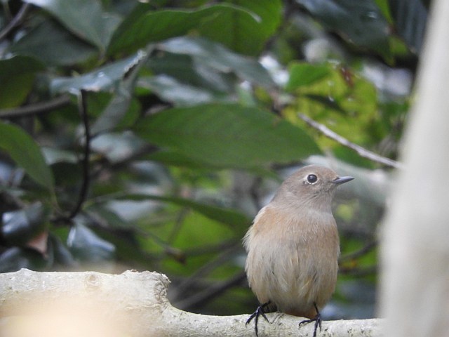 f0378979_21483523.jpg
