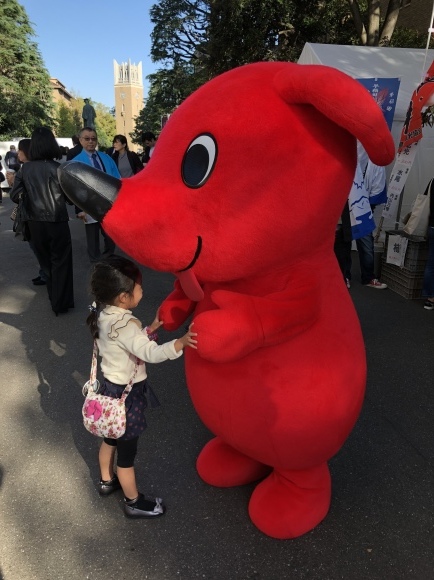 「2018稲門祭」に今年も千葉県支部出店！_e0274082_22203391.jpeg